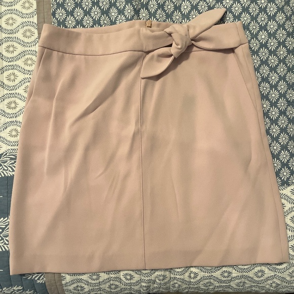 Carol Blush Skirt - Picture 1 of 2